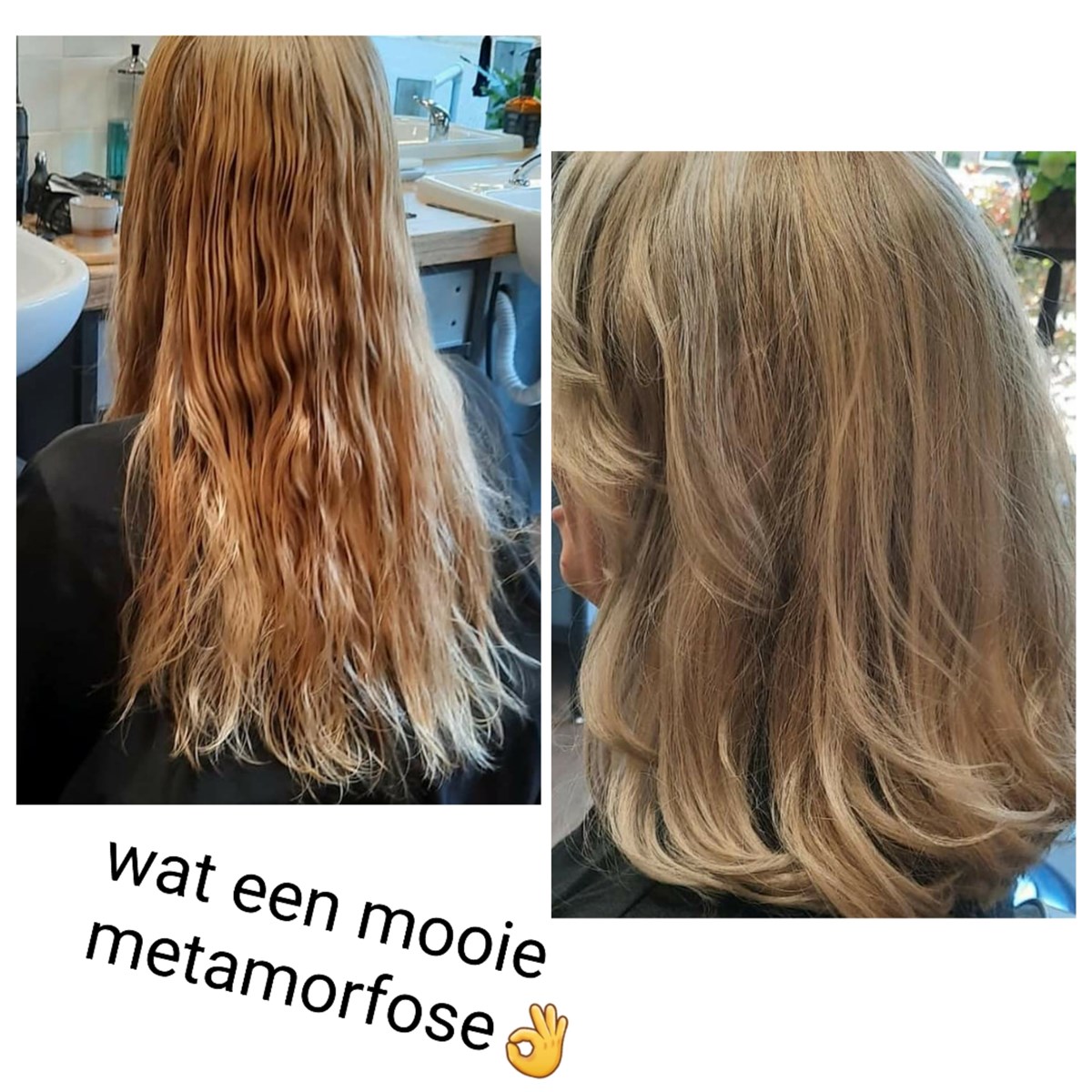 Verschillende Blond Bruin tinten - Studio Bibob